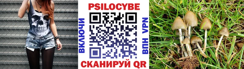 где продают наркотики  Отрадное  Галлюциногенные грибы Magic Shrooms 